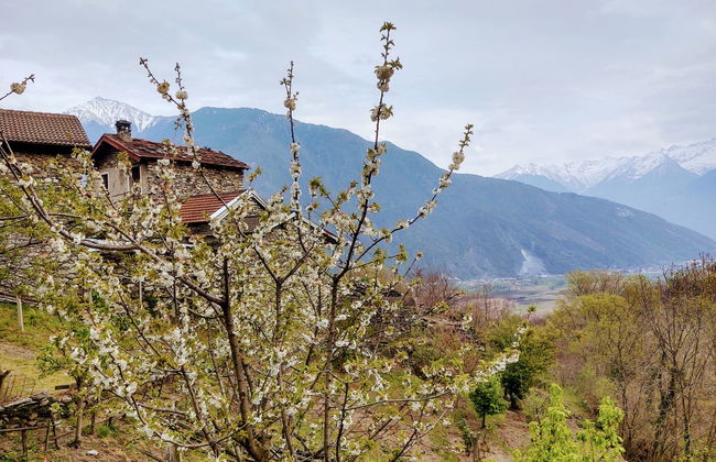 Raviscioni Albino - Foto 26