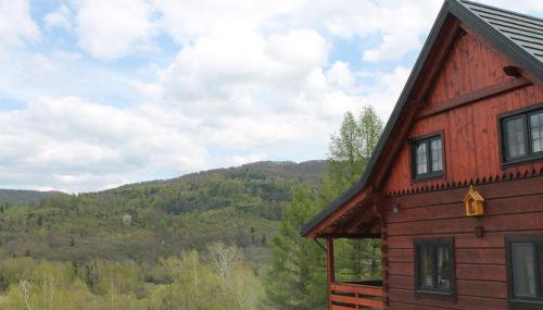 Mysia Nora - Photo 4