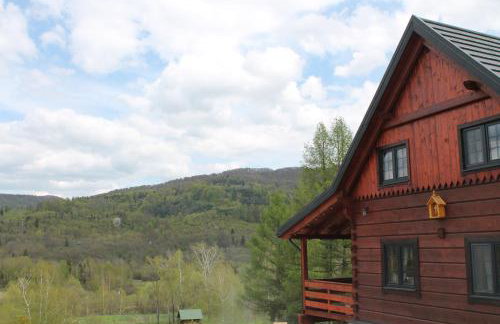 Mysia Nora - Photo 4