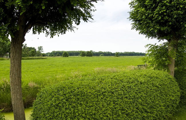 Haus Betty - Foto 27