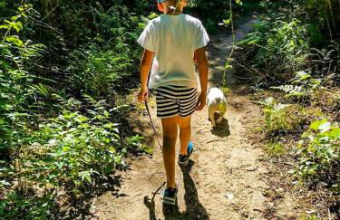 O Refúgio - Foto 56