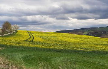 Ferienwohnung im grünen Muldental - Foto 38
