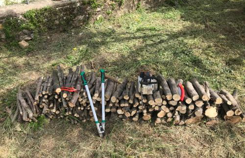 Spacious n comfortable Aloe Vera farm house - Photo 16