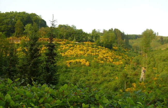 Modern Apartment in Sauerland With Balcony - Foto 75