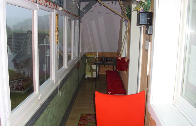 Beautiful Apartment in a Black Forest House With Conservatory - Foto 60