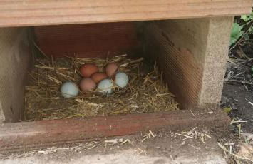 BELLE VILLA Piscine 120 m2, 8 pers, 3 belles chambres Près d'Aix-en-Provence - Foto 72