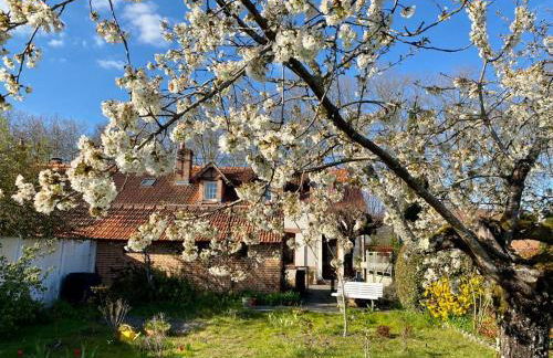 Maison 5 chambres à Lamotte, entre canal et centre équestre - Foto 35