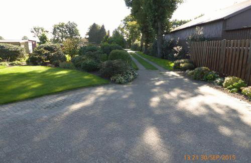 Schmidtfewo Moorgeist - Foto 8