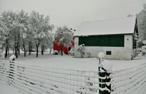 Holiday Home Modric - Foto 63