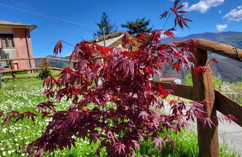 Ca du Bensa - Foto 6