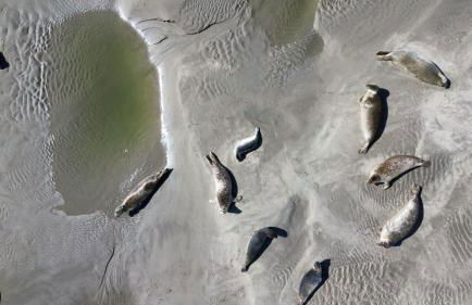 L'art du bonheur proche de la Baie de Somme - Foto 36