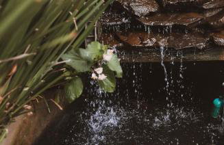 Pousada Bella Vista - no coração do Vale dos Vinhedos - Foto 28