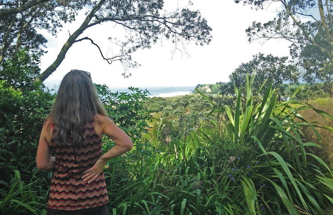 Ohiwa Seascape Studios - Foto 16