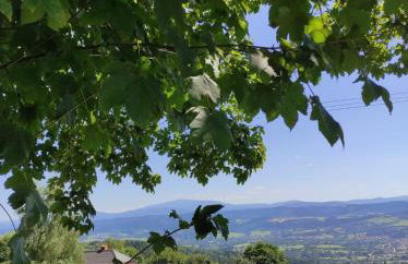 Pieśń Poranka Domek - Foto 47