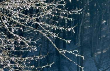 Winding Creek Cabin - Photo 58