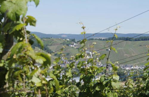 Ferienhaus Moselblick mit kostenfreien ÖPNV-Ticket - Foto 29