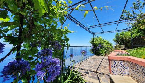 Ocean View Madeira 3 - Ponta do Sol - Foto 4