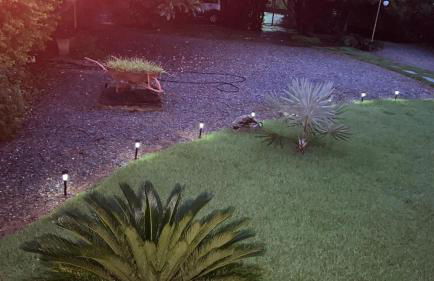 Alvorecer do Pepê - Foto 15