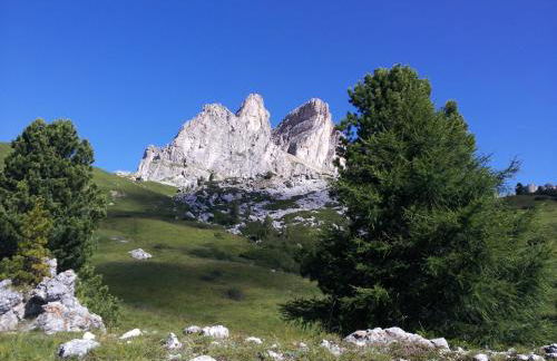 Appartamenti Dany - Foto 47