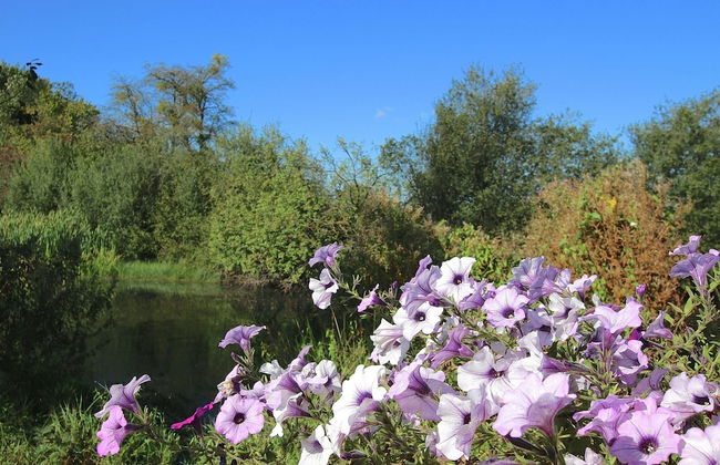 Former Farmhouse in Adorned Village - Foto 37