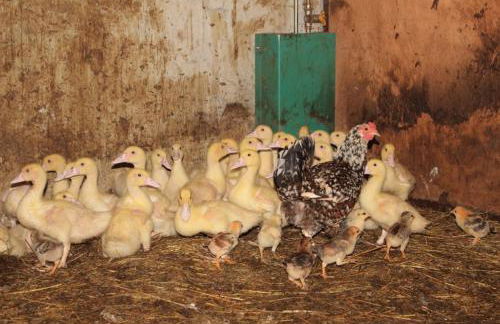 Agriturismo Mazzeracca - Foto 26