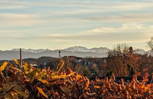 Wohnen im Voralpenland - Foto 10