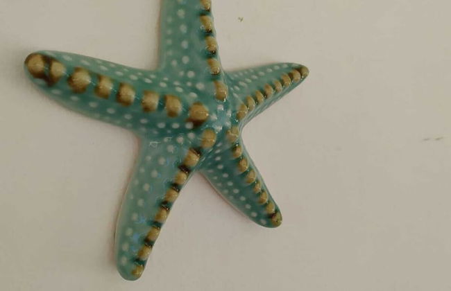 Le Barchette - Foto 3