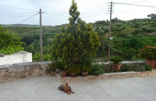 Cretan Traditional Home - Photo 14