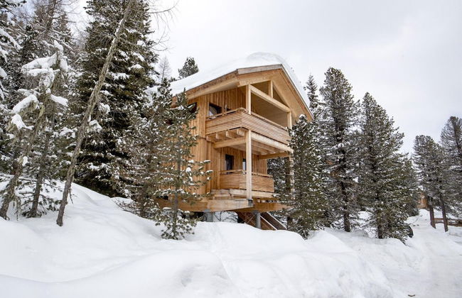 Cozy Chalet With hot tub - Foto 22