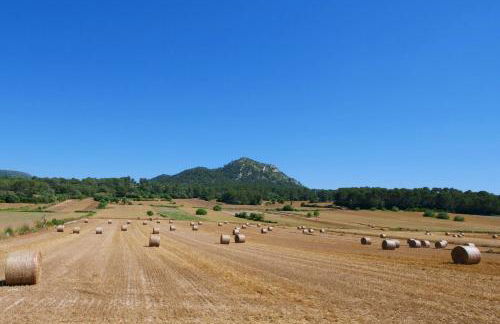 Son Fornes - Foto 25