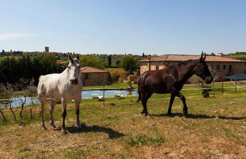 Agriturismo La Collina - Foto 16