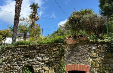 Les palmiers de Valence - Foto 13