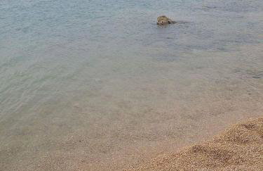 Apartments Luna - Photo 37