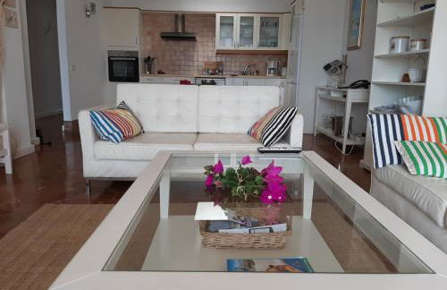 marazul del sur - Foto 2