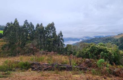 Pousada Refúgio Ressignificar - Foto 22