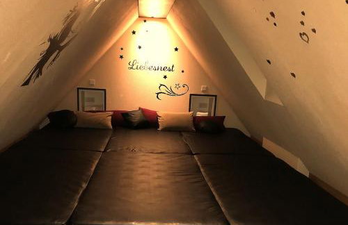 CATS Dreams - Foto 11