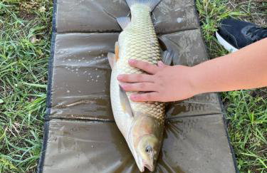 Agroturystyka nad stawami - Foto 71