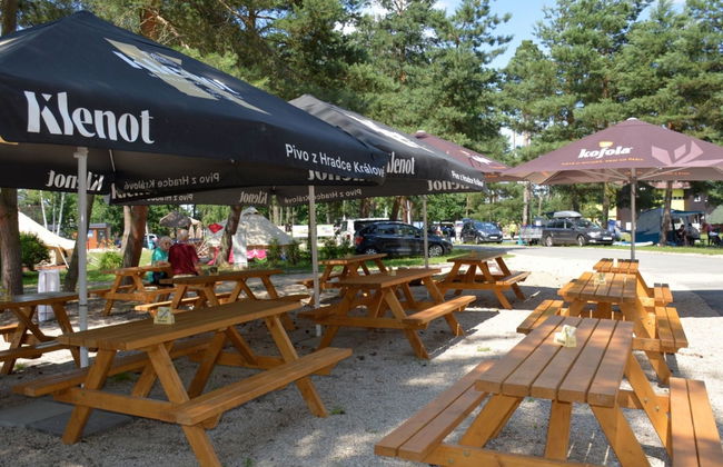 4 bedroom House in Hradec Kralove with garden - Photo 30