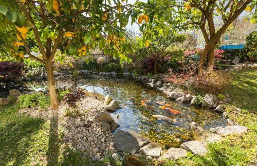 Sweet Home Braga - 4 rooms apartment - Foto 51