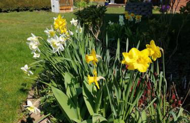 Wohnung "Burgtiefe" in Bannesdorf auf Fehmarn - Foto 22