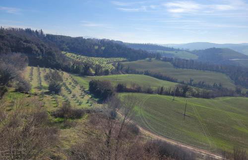 Bella Todi Apartment - Photo 24