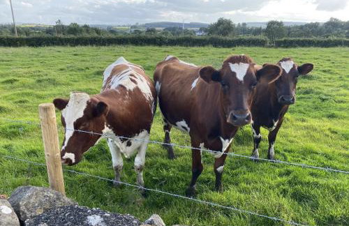 Craigmore Caravan - Foto 27