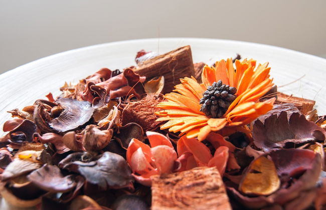 Manor Apartments - Foto 28