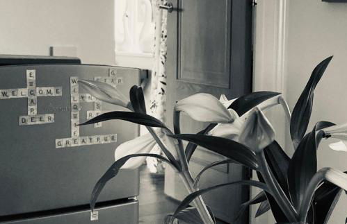 Kingfisher Nook at Waveney Farm - Foto 9