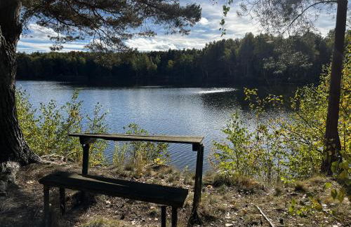 Ferienwohnung am See Dillich - Hunde willkommen - Eigener eingezäunter Garten - Ruhige Lage - Foto 29