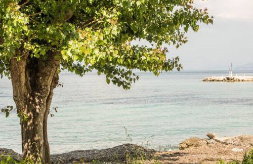 Theofilia Sea Side Studio - Foto 11