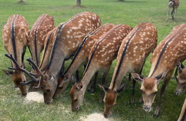 Gutshaus Pinnow - Foto 37