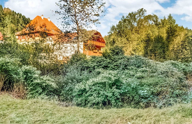 Rustic Black Forest Getaway - Foto 20