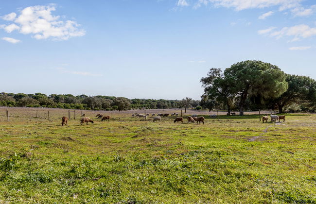 Quinta de Santa Emilia 3 - Foto 23