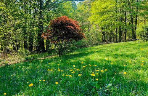 Catskills Enchanted Forest - Foto 39